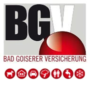 BGV Logo 2026